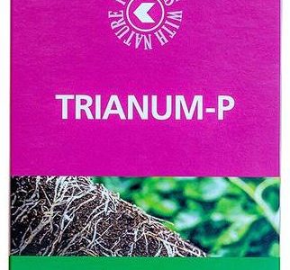 Trianum P 250Gr