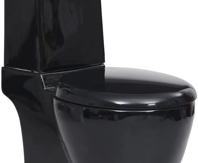 Vidaxl Ceramiczna toaleta ze spłuczką, okrągła, odpływ pionowy, czarna 3059889