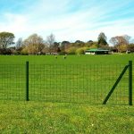 Vidaxl Euro Ogrodzenie Stalowe 10×0,8m Zielone