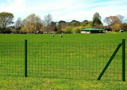 Vidaxl Euro Ogrodzenie Stalowe 10×0,8m Zielone