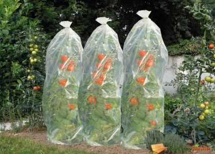 VIDAXL NATURE OSŁONA NA POMIDORY, 1500 X 50 CM 428491