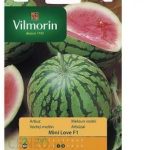 Vilmorin Arbuz Mini Love F1