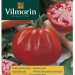 Vilmorin Garden Nasiona Pomidor Gruntowy Wysoki Corazon