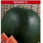 W. Legutko Arbuz (Kawon) Rosario Mieszaniec F1 2 G