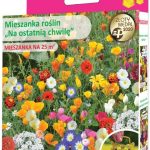 W.Legutko Mieszanka Roślin Jednorocznych Na Ostatnią Chwilę Nasiona 125 G