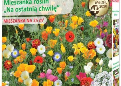 W.Legutko Mieszanka Roślin Jednorocznych Na Ostatnią Chwilę Nasiona 125 G
