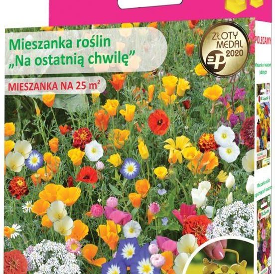 W.Legutko Mieszanka Roślin Jednorocznych Na Ostatnią Chwilę Nasiona 125 G