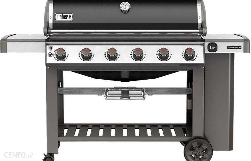 Weber Genesis II E-610 Gbs 63010133