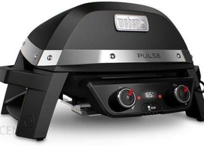 Weber Pulse 2000