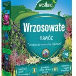 Westland Nawóz Do Wrzosowatych 1Kg