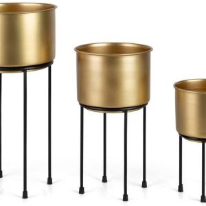 Wy/Donica/77 Kpl Złot+Czar/X3