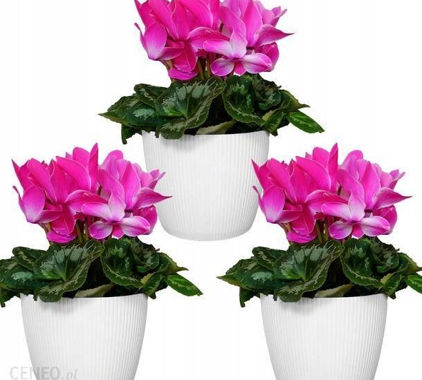 Zestaw 3X Osłonka-Doniczka Misa Donica Domowa 26cm