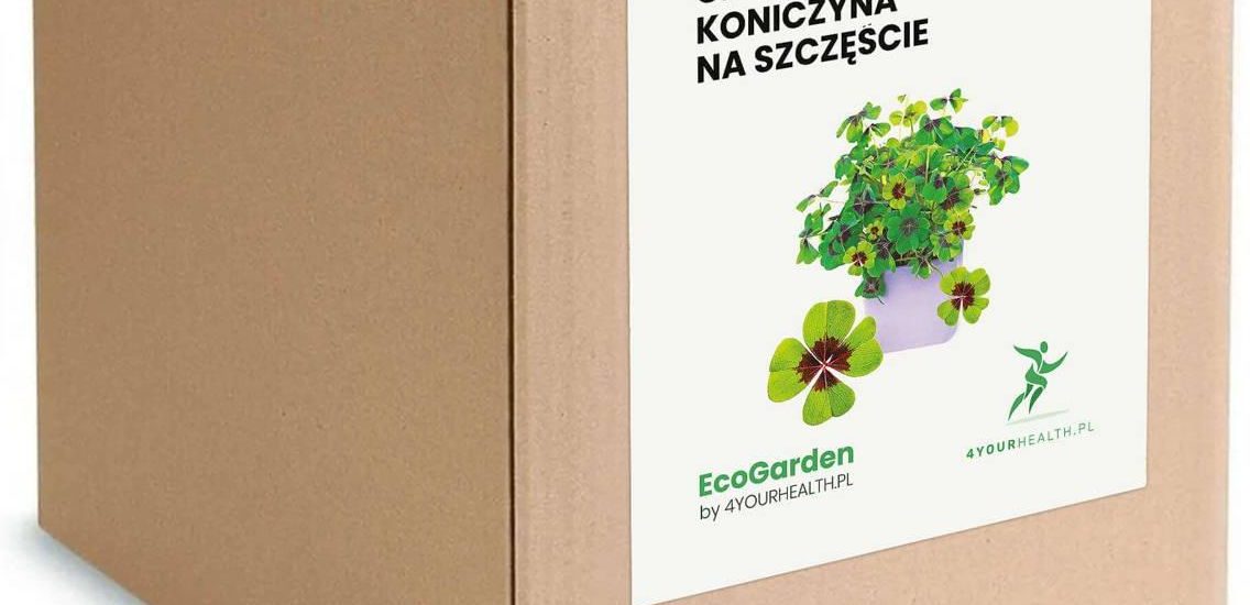 Zestaw do uprawy – Czterolistna Koniczyna na szczęście