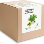 Zestaw do uprawy – Czterolistna Koniczyna na szczęście