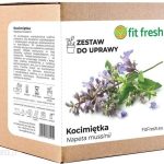 Zestaw Do Uprawy Kocimiętka – Nepeta