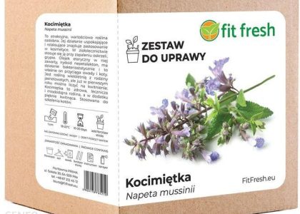 Zestaw Do Uprawy Kocimiętka – Nepeta