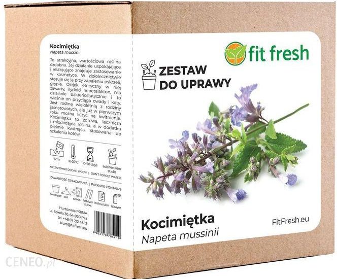 Zestaw Do Uprawy Kocimiętka – Nepeta