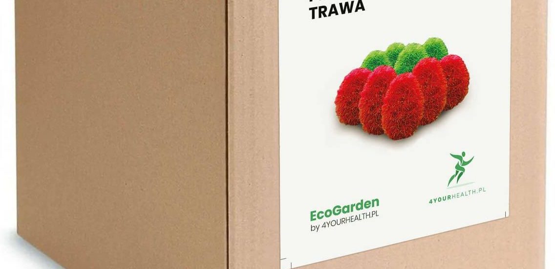Zestaw do uprawy – Płonąca Trawa Mietelnik