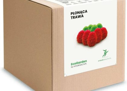 Zestaw do uprawy – Płonąca Trawa Mietelnik