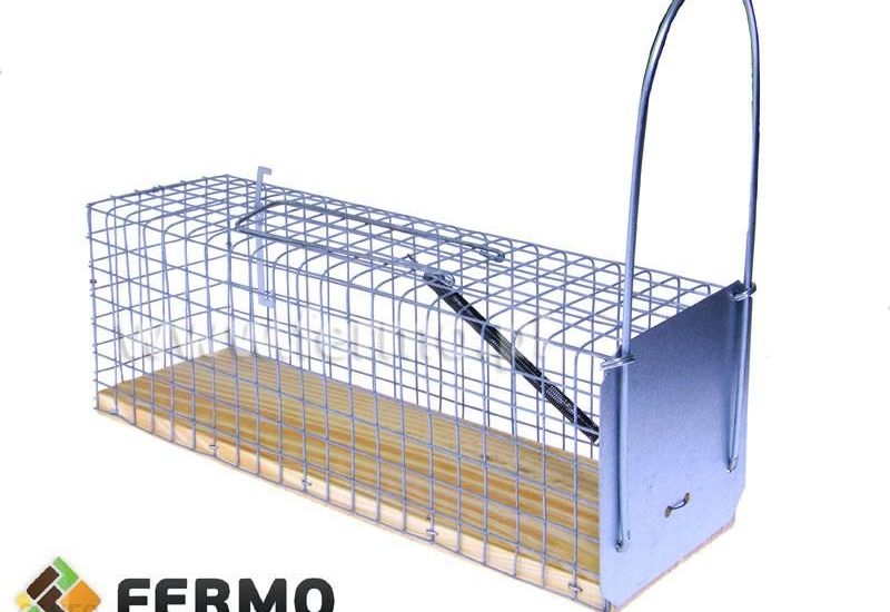Żywochwytna pułapka na szczury – RAT PRISON